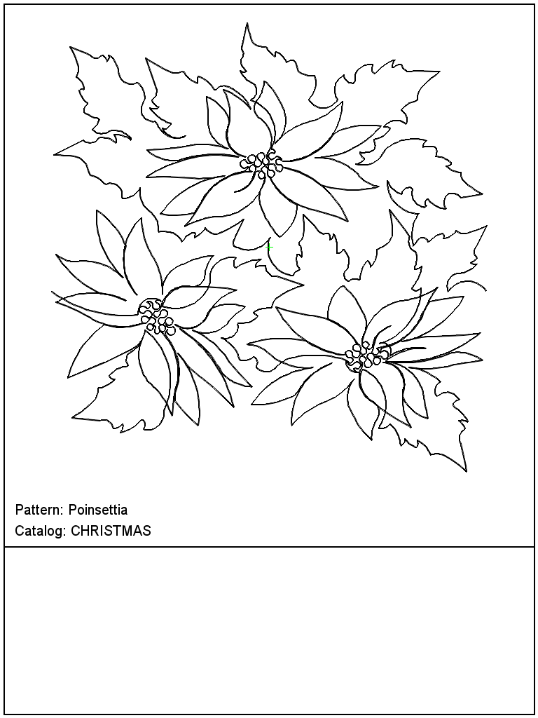 Poinsettia